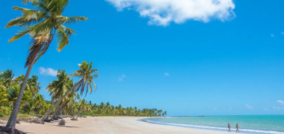 Por que o destino perfeito é à beira mar?