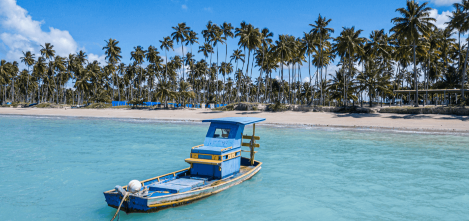 Você conhece o Caribe Brasileiro?