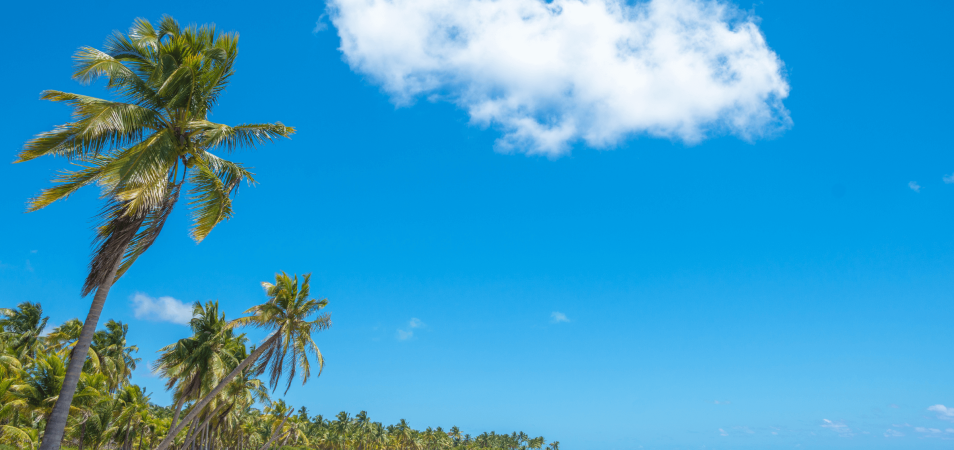 Como a multipropriedade contribui para a sustentabilidade no turismo local